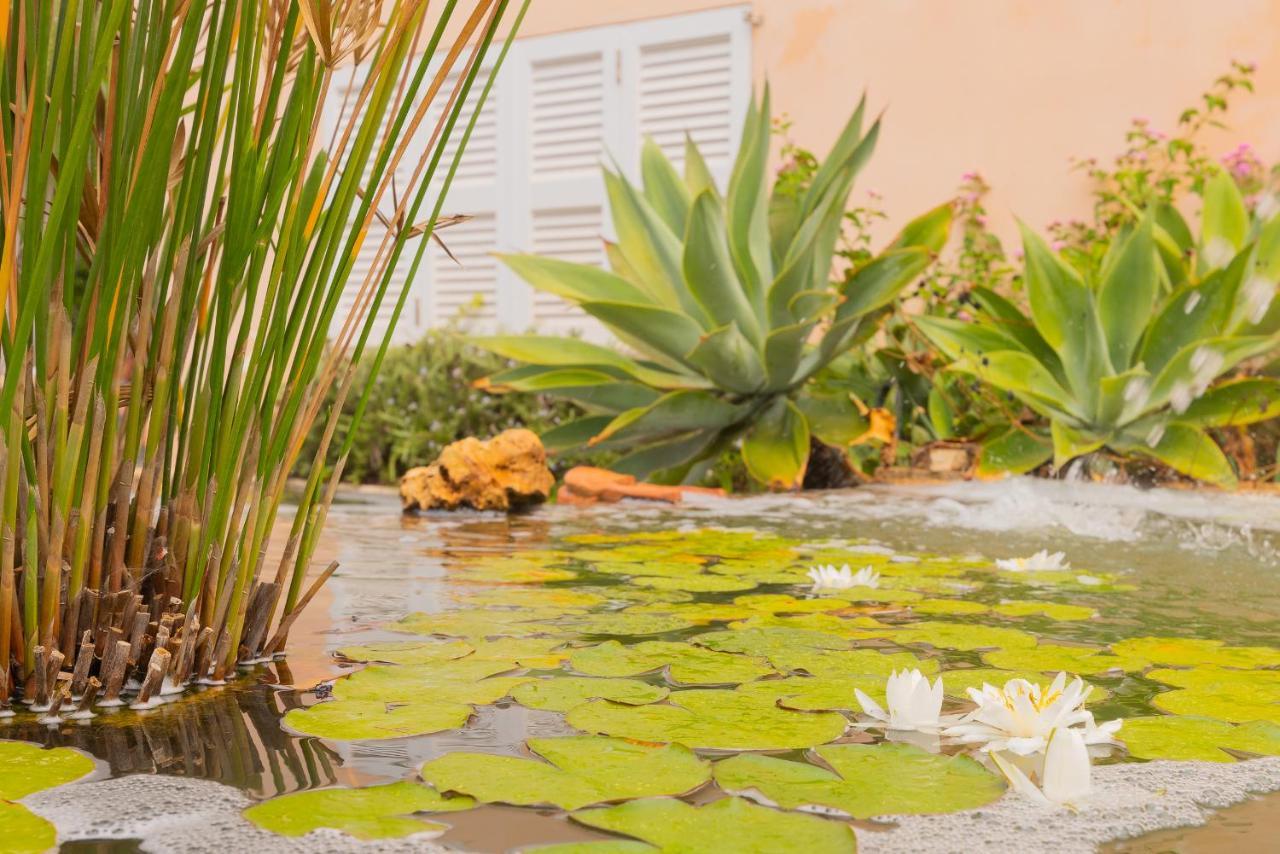 Villa Dolce Vita Portocolom  Luaran gambar